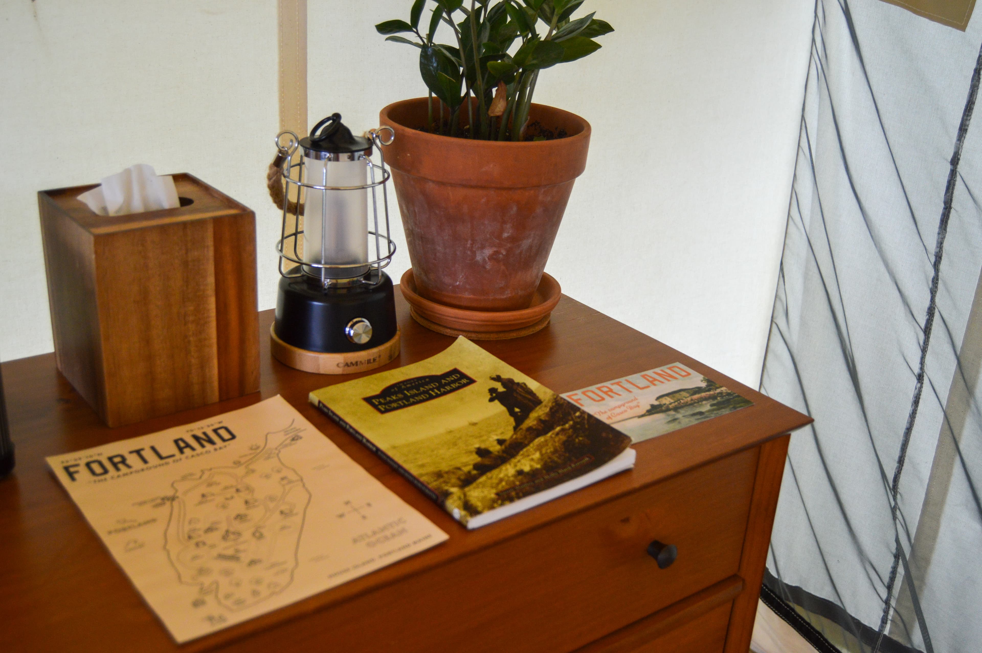 A wooden dresser displays a lantern, a plant, tissue box, and brochures about Fortland.