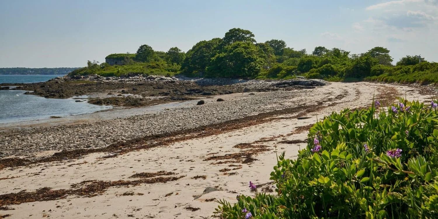 A sandy beach lined with rocks and greenery under a clear blue sky.