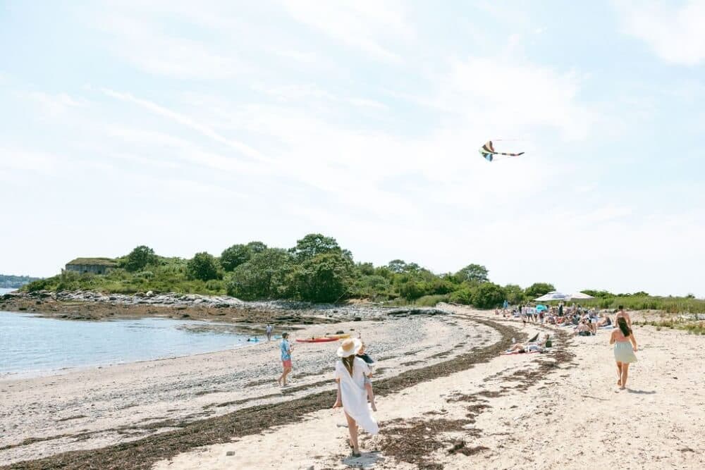 A sunny beach scene with people walking along the shore, a kite flying in the sky, and greenery in the background.