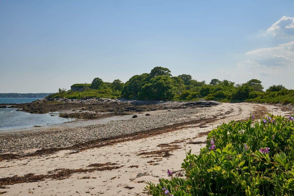 A sandy beach with scattered stones and green vegetation, bordered by calm water under a clear blue sky.