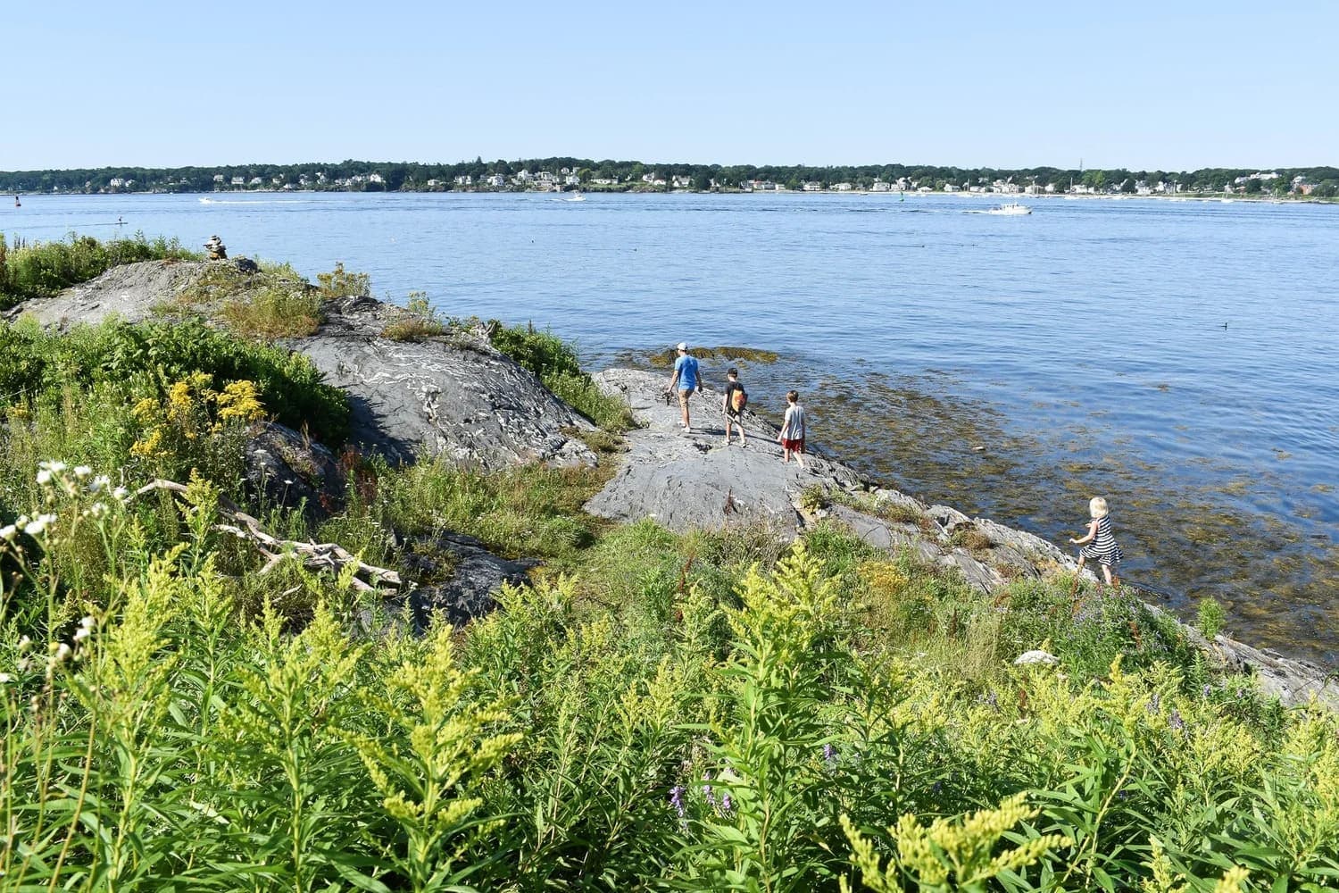 Three people explore rocky shoreline vegetation by a calm lake under a clear blue sky.