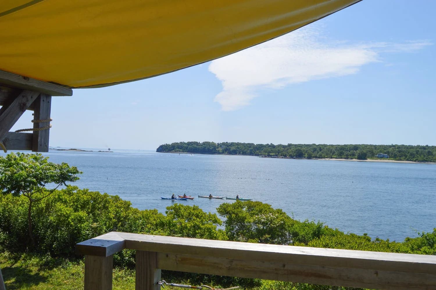 A serene view of a waterway with kayakers paddling, framed by lush greenery and a bright blue sky.